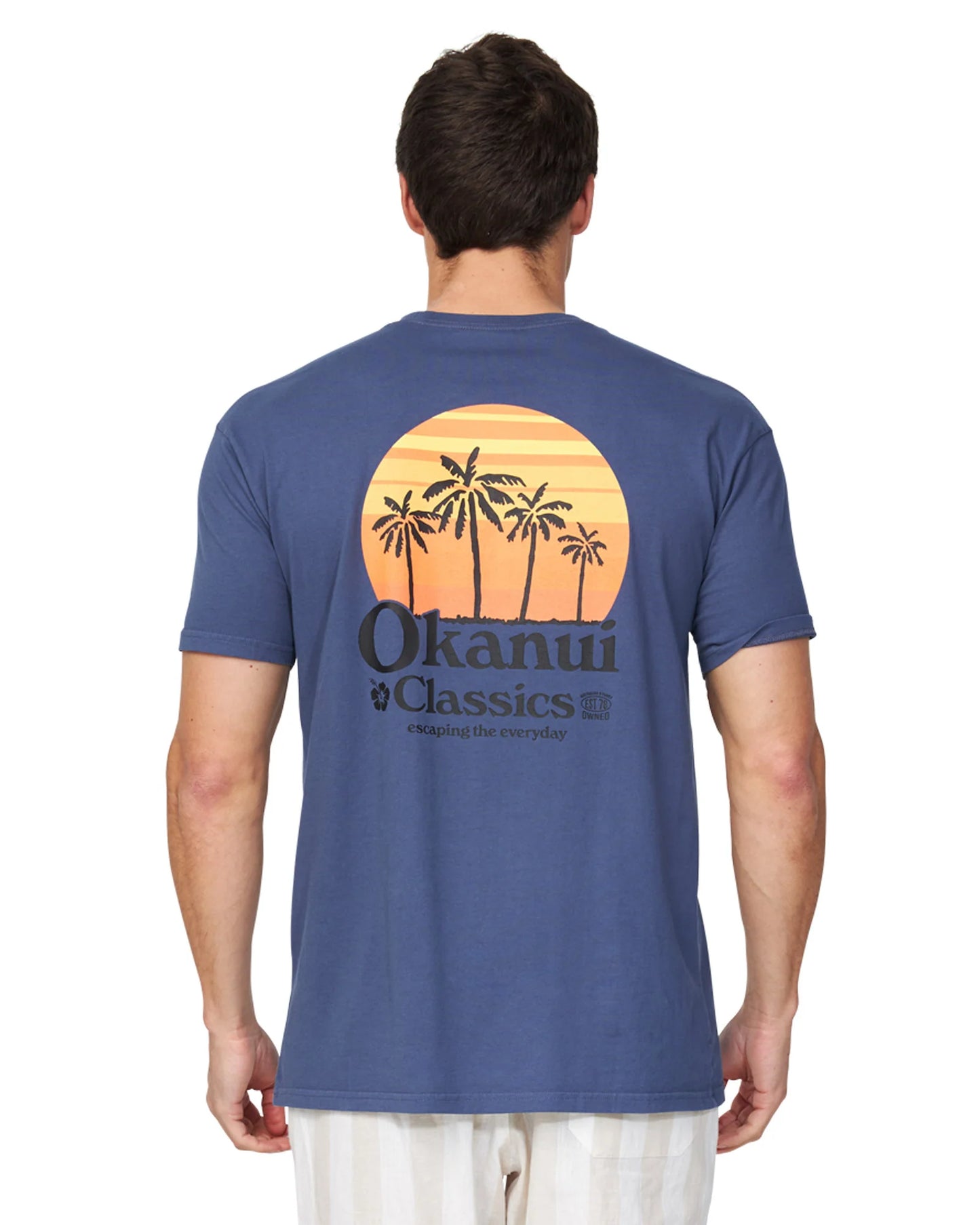 T-shirt Craft