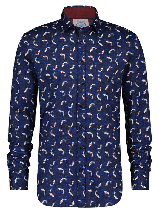 Koi Carp